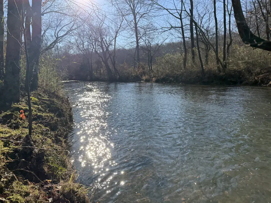 196 Griner Rd, Hohenwald, TN 38462 - Image #2