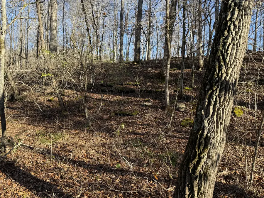 196 Griner Rd, Hohenwald, TN 38462 - Image #3