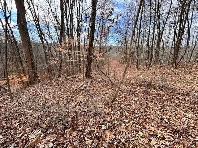 61 Old Hickory Place, Smithville, TN 37166 - Image #1