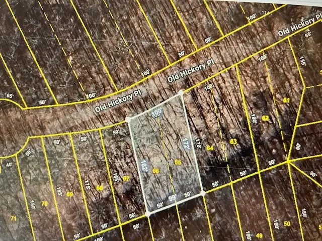 61 Old Hickory Place, Smithville, TN 37166 - Image #2