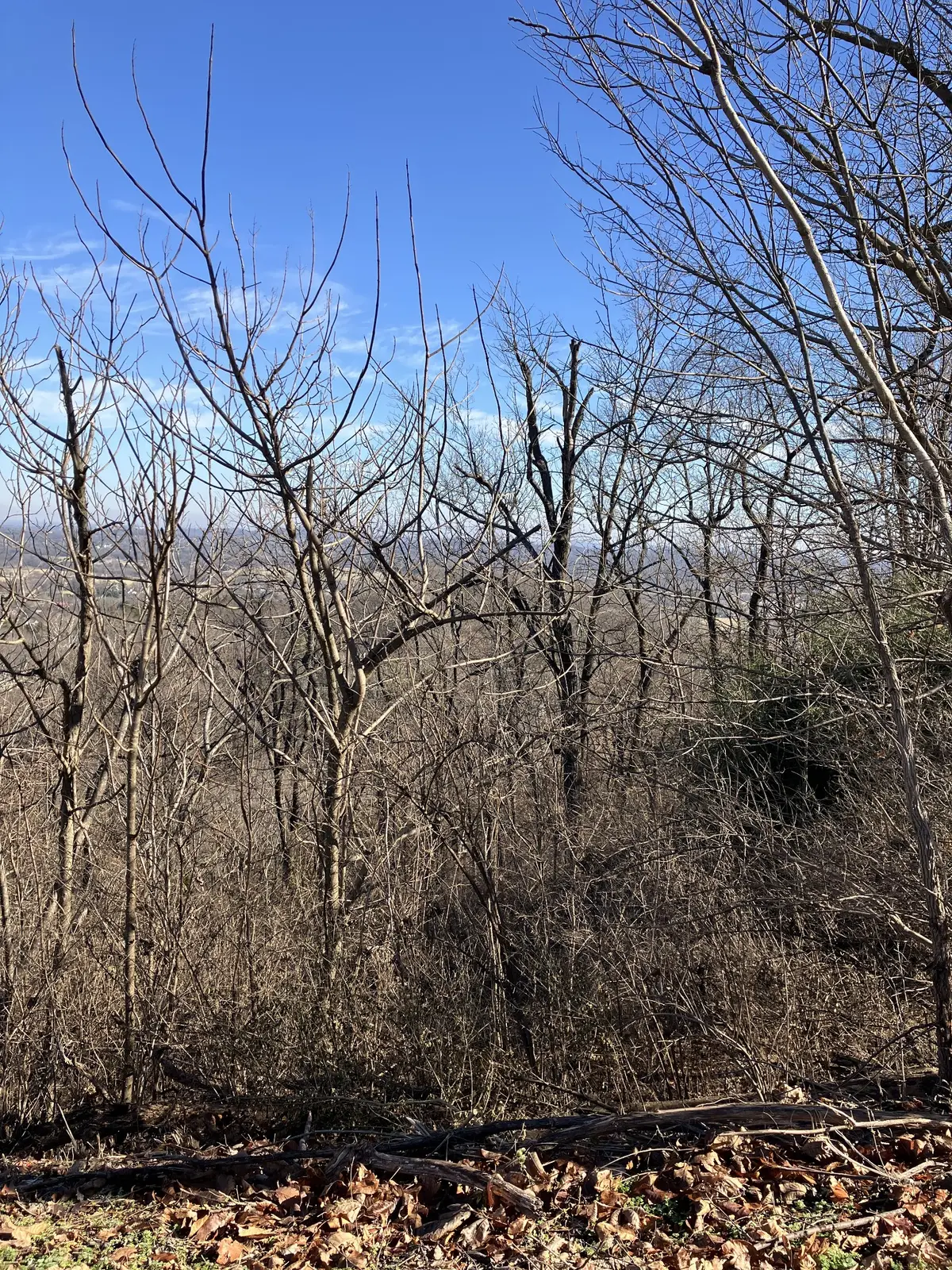 1200 Longstreet Cir, Brentwood, TN 37027 - Image #1