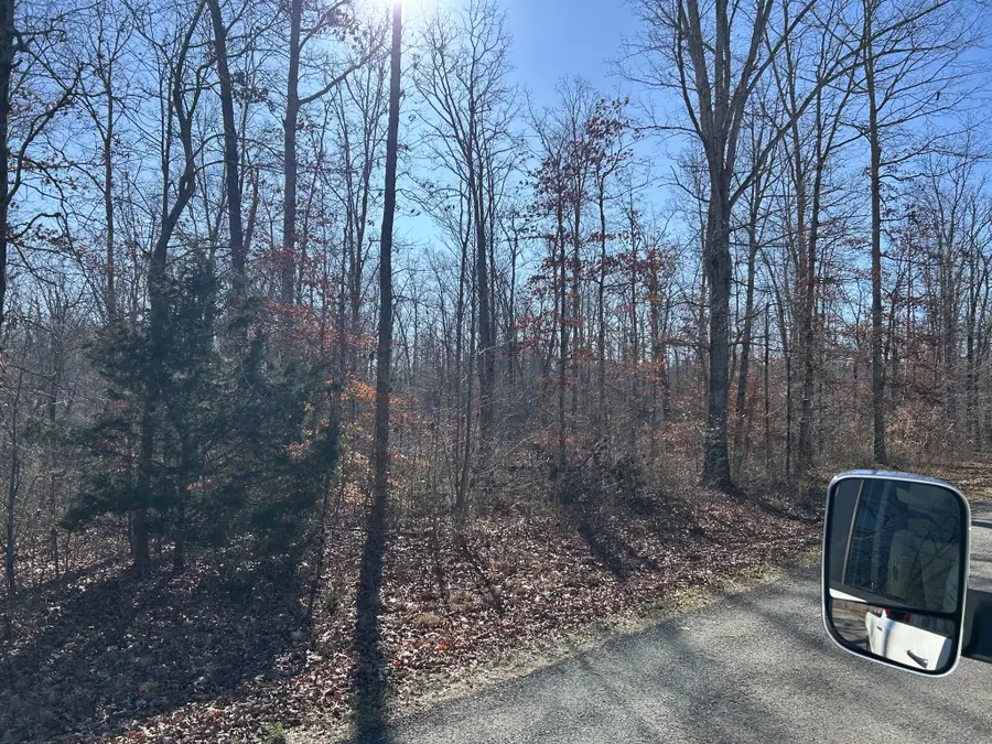 12 Slaughter Rd, Primm Springs, TN 38476 - Image #3