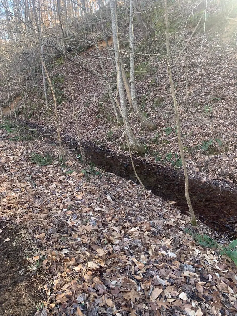 1252 Kelly Rd, Centerville, TN 37033 - Image #2