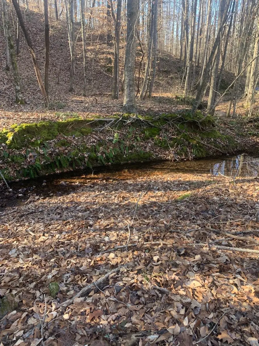 1252 Kelly Rd, Centerville, TN 37033 - Image #3