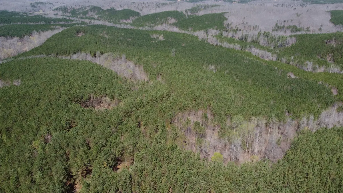 0 Sassafras Stand Ridge Road, Linden, TN 37096 - #1