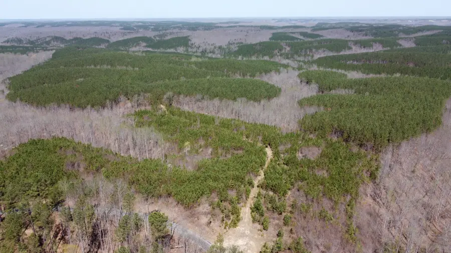 0 Sassafras Stand Ridge Road, Linden, TN 37096 - #3