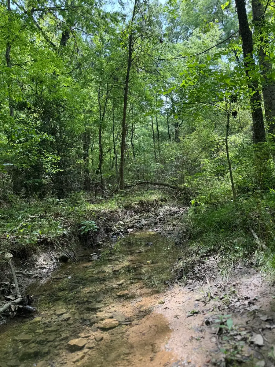 160 Scenic Circle, Ringgold, GA 30736 - #3