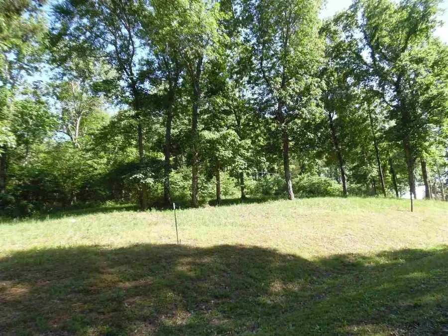 0 Adam Loop, Bath Springs, TN 38311 - Image #3