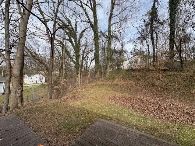 125 Mcginness Ave, Carthage, TN 37030 - Image #3