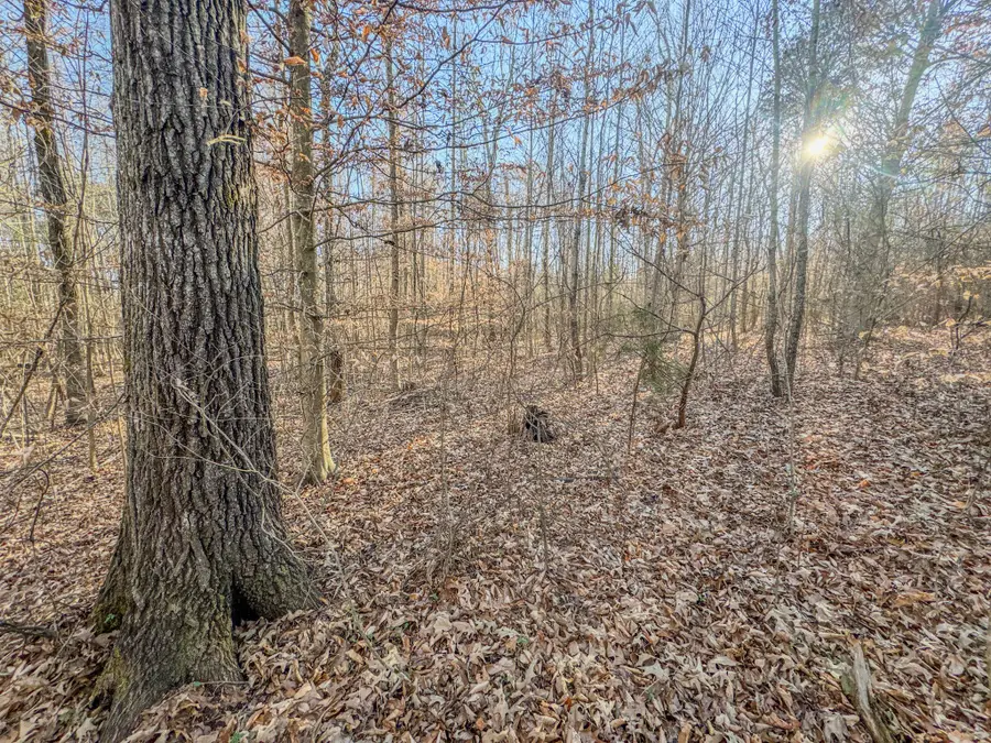 0 Hwy 100 West, Decaturville, TN 38329 - Image #3