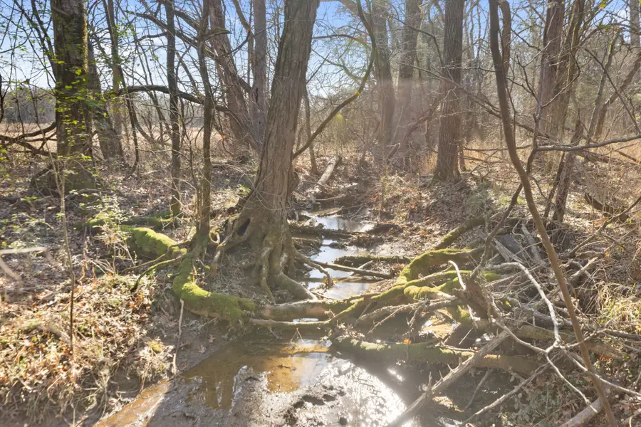 2265 Holly Grove Rd, Lewisburg, TN 37091 - Image #3