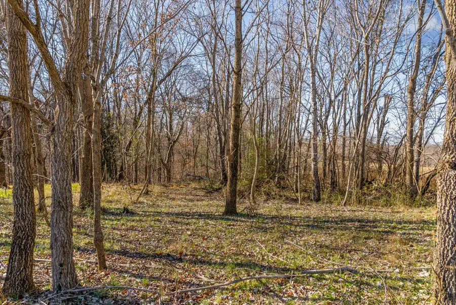 3650 Lake Road, Woodlawn, TN 37191 - #3