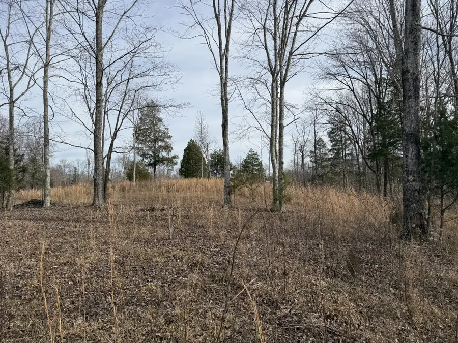 0 York Hwy, Gainesboro, TN 38562 - Image #2