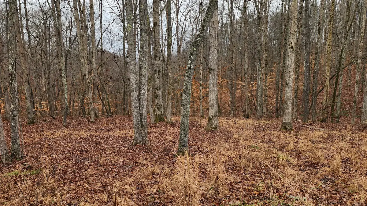 0 Riverwatch Trce, Sparta, TN 38583 - Image #1