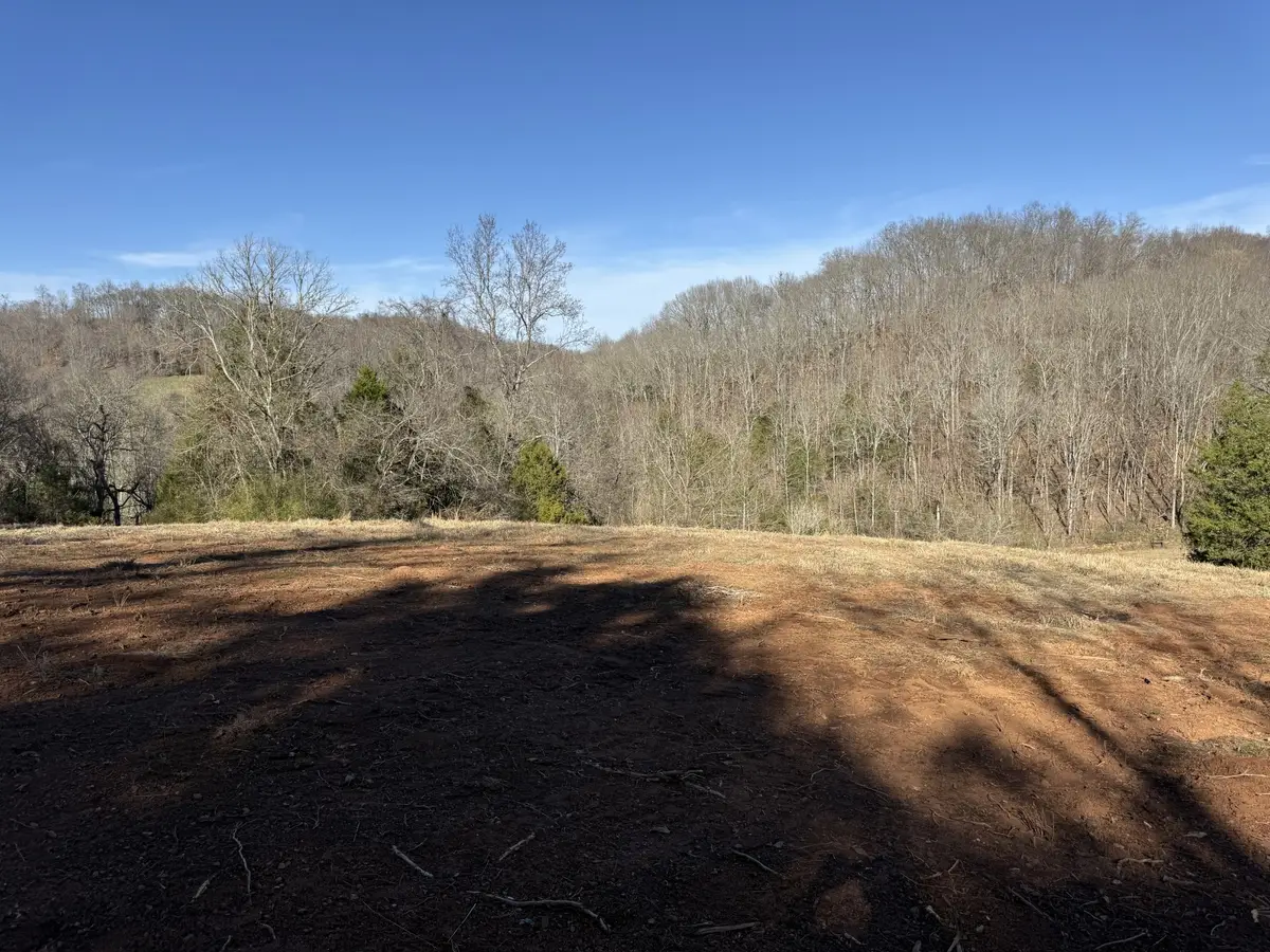 0 Robinson Rd, Frankewing, TN 38459 - Image #1