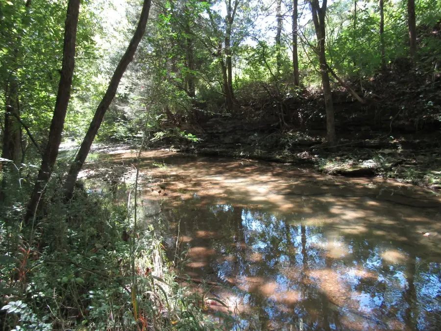 14 Ac Hartsville Rd, Lafayette, TN 37083 - Image #3