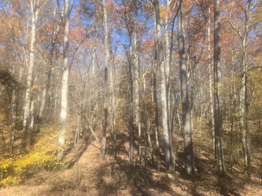 0 North Ore, Westpoint, TN 38486 - Image #3