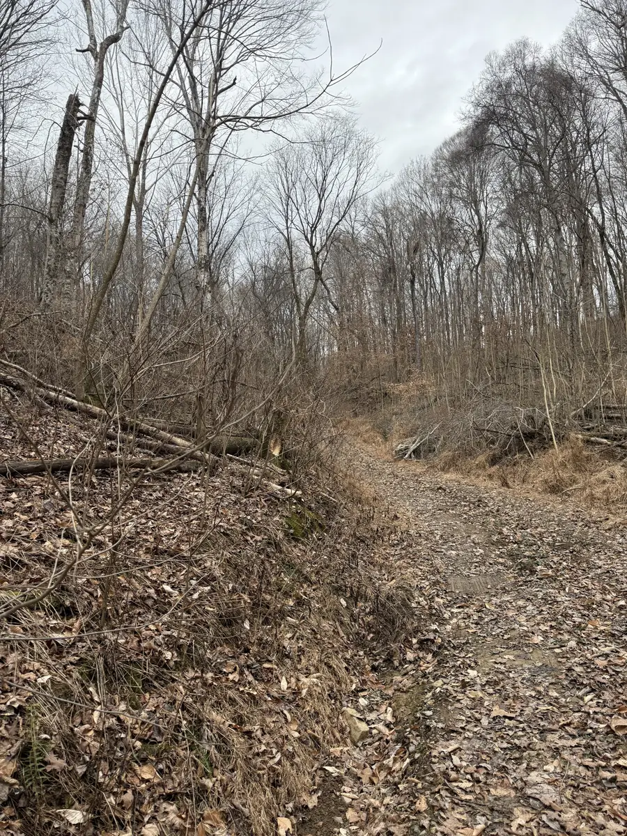 1843D Garrison Branch Rd, Cottontown, TN 37048 - Image #2