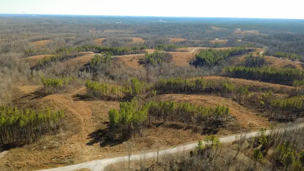 45 Saddleback Dr, Dover, TN 37058