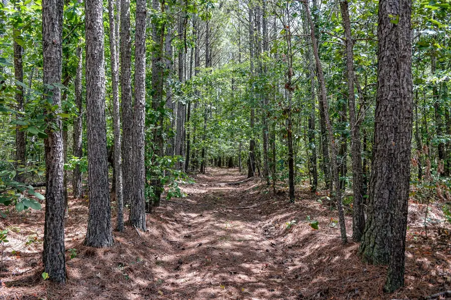 0 Brush Creek Road, Hohenwald, TN 38462 - #3