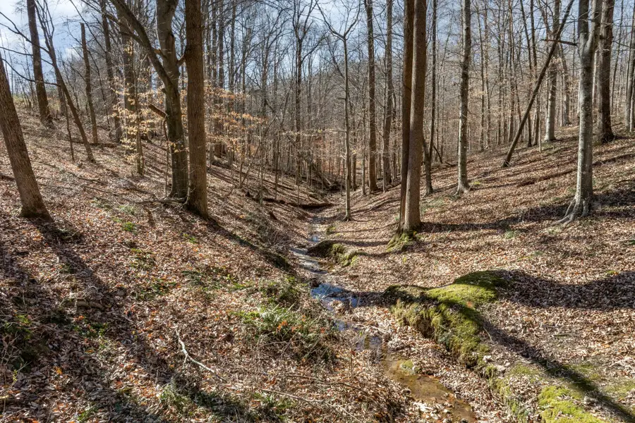 5675 Natchez Trace Rd, Franklin, TN 37064 - Image #2