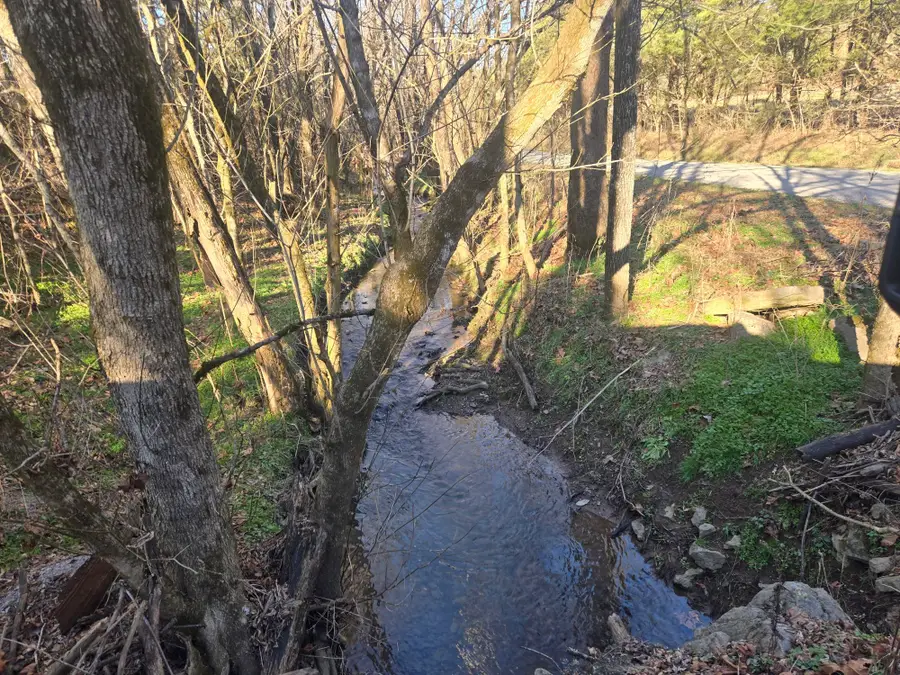 3680 Diana Ridge Rd, Pulaski, TN 38478 - Image #3