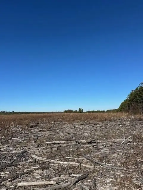 2 50th Avenue, Gruetli Laager, TN 37339 - Image #1