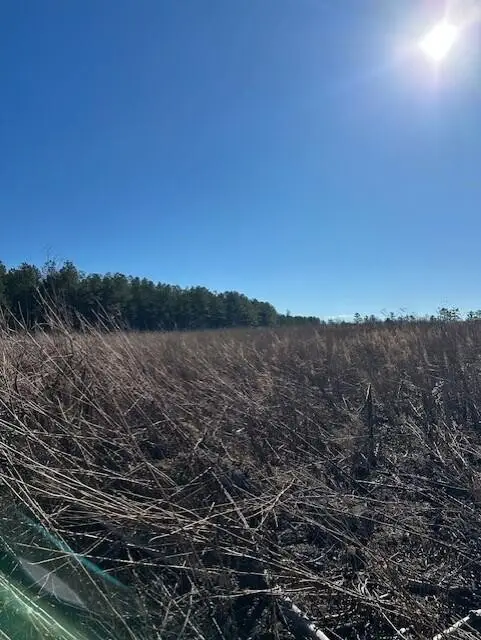 3 50th Avenue, Gruetli Laager, TN 37339