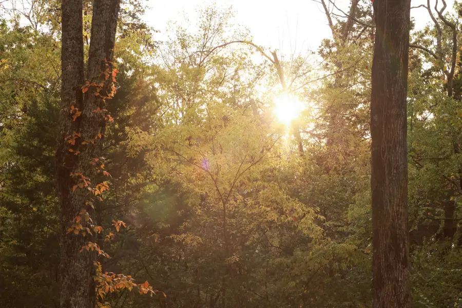 9227 Old Smyrna Rd Lot 9, Brentwood, TN 37027 - #2