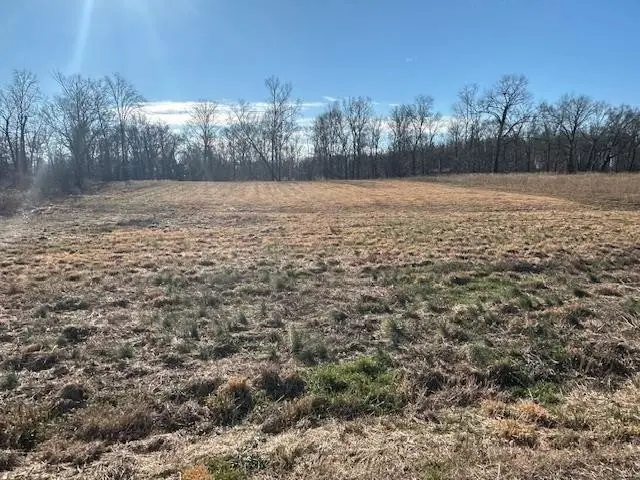 136 River Run Estates/cravens Rd, Savannah, TN 38372 - #2