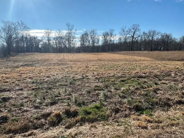 136 River Run Estates/cravens Rd, Savannah, TN 38372 - #3