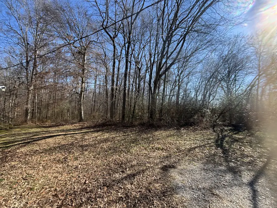 590 Jackson Hollow Rd, Minor Hill, TN 38473 - #3