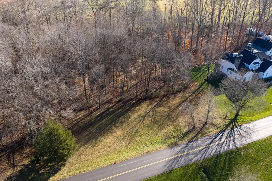 7322 Taylor Road, Fairview, TN 37062 - Image #3