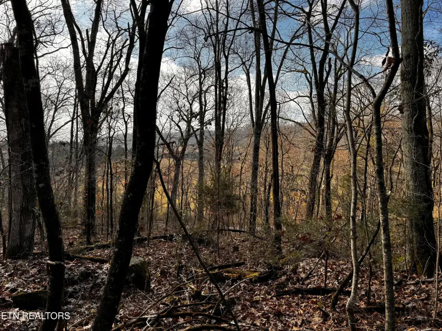 1644 Walker Cove Rd, Sparta, TN 38583 - Image #3