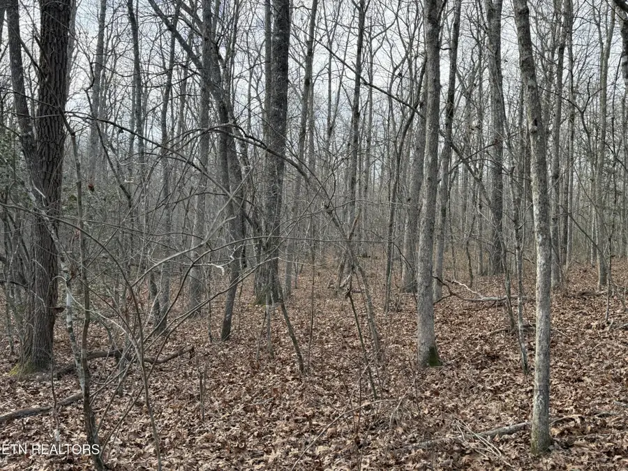 0 Crystal Point, Monterey, TN 38574 - #3