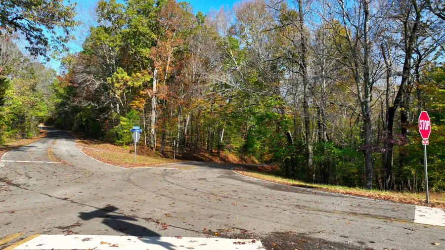 4 Shiloh Canaan Rd, Palmyra, TN 37142 - Image #2