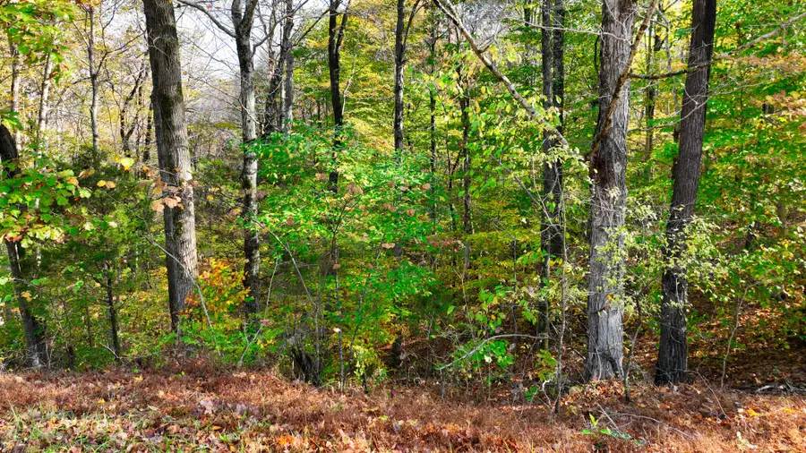 4 Shiloh Canaan Rd, Palmyra, TN 37142 - Image #3