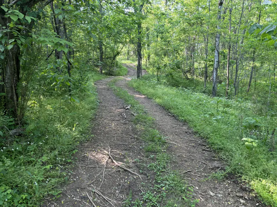 1 Lick Creek Rd, Hartsville, TN 37074 - Image #3