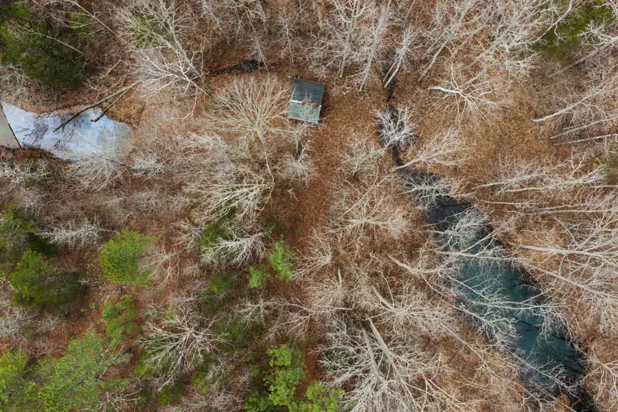 0 Tracy Ln, Duck River, TN 38454 - Image #2