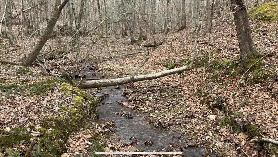 0 West Mackey Rd, Iron City, TN 38463 - Image #2