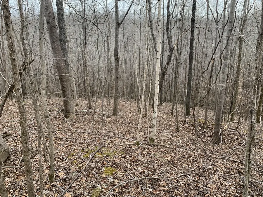 0 West Mackey Rd, Iron City, TN 38463 - Image #3