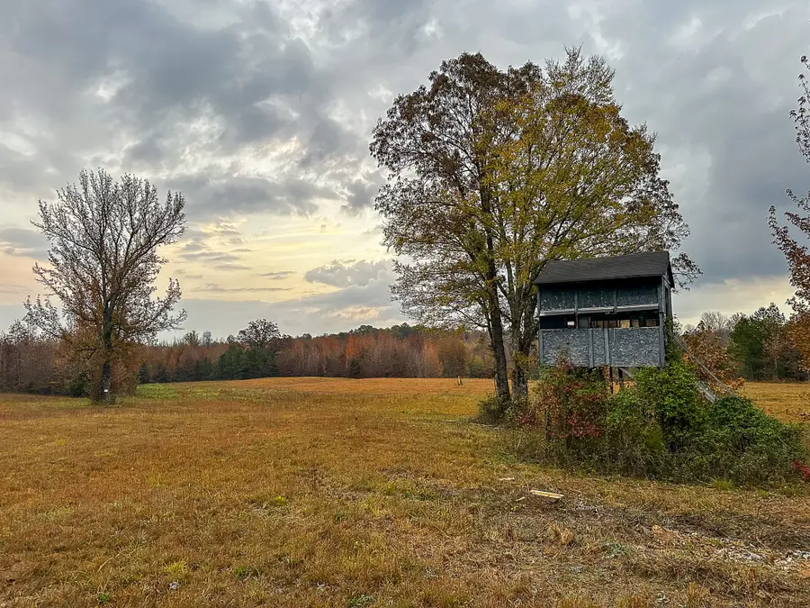 0 Hines Gin Road, Selmer, TN 38375 - Image #2