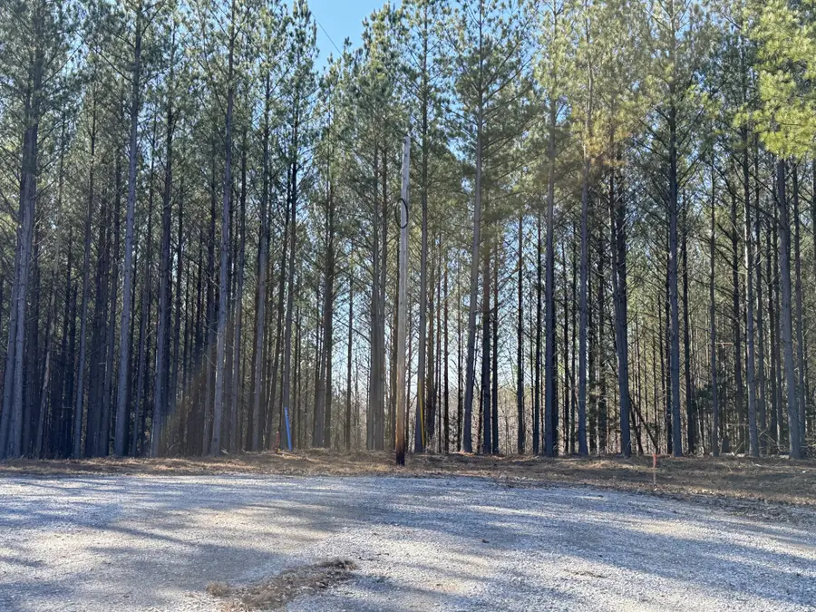 533 Center Ridge Dr, Linden, TN 37096 - #2