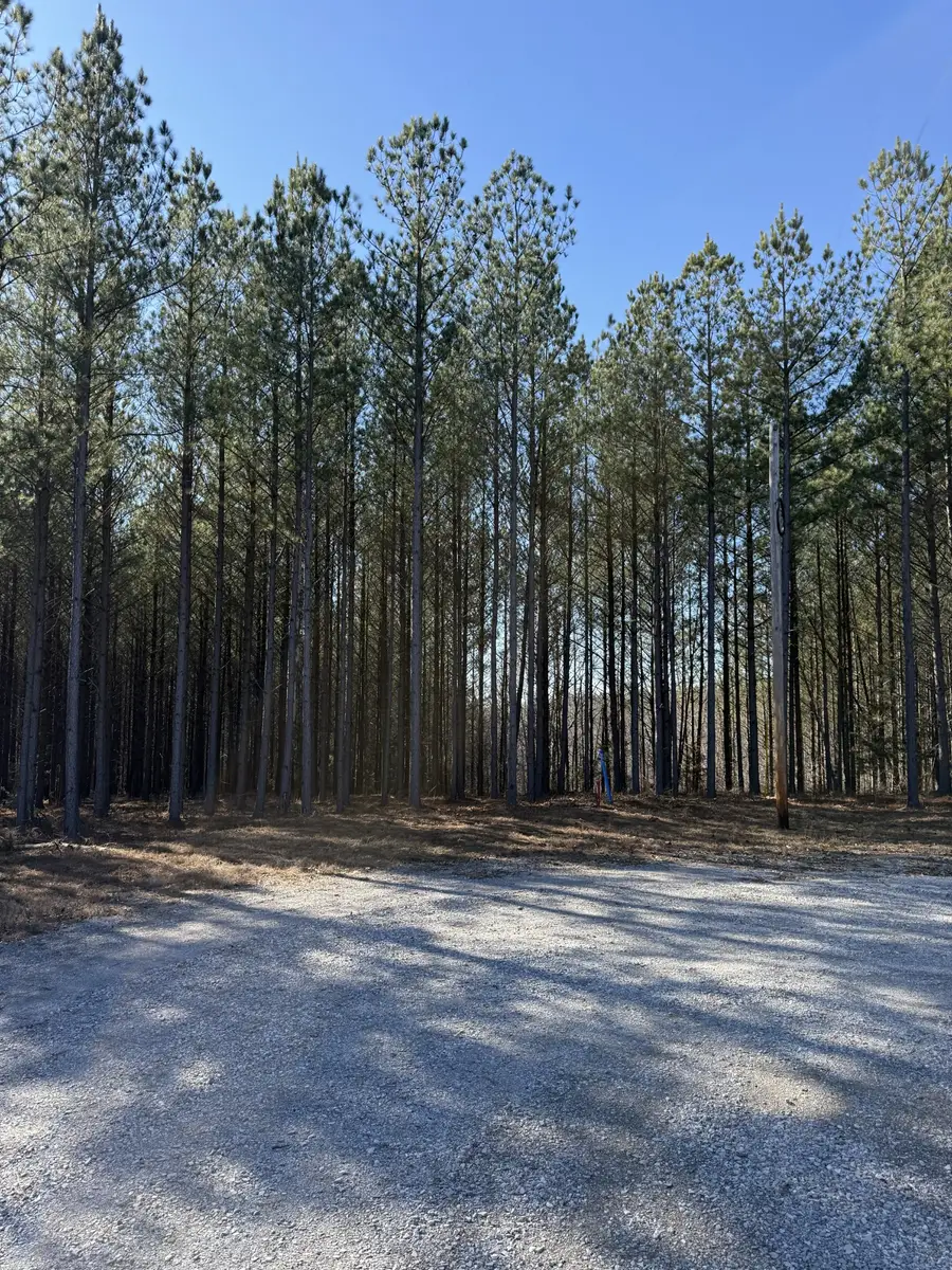 533 Center Ridge Dr, Linden, TN 37096 - #3