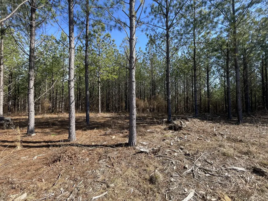 84 Ridgewood Dr, Linden, TN 37096 - #3