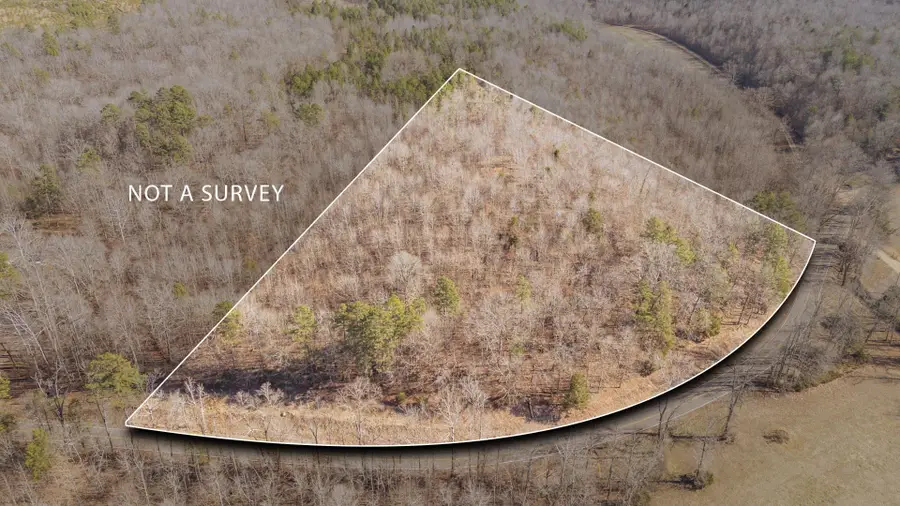 3310 Holland Creek Rd, Savannah, TN 38372 - #2