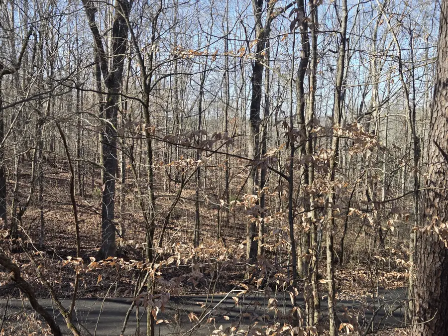 0 Westwood Dr Main St, Waverly, TN 37185 - #2