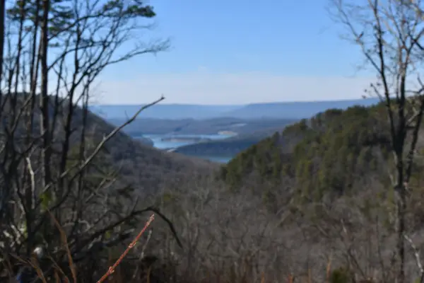 0 Birds Eye Way, Guild, TN 37340