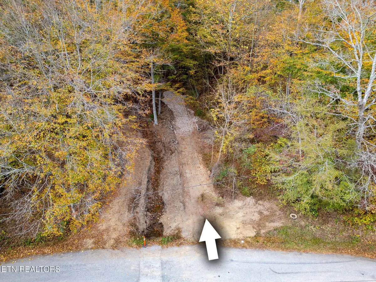 2 W Bullrun Valley Drive, Heiskell, TN 37754 - #1