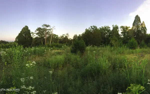 0 Thorngrove Pike, Strawberry Plains, TN 37871